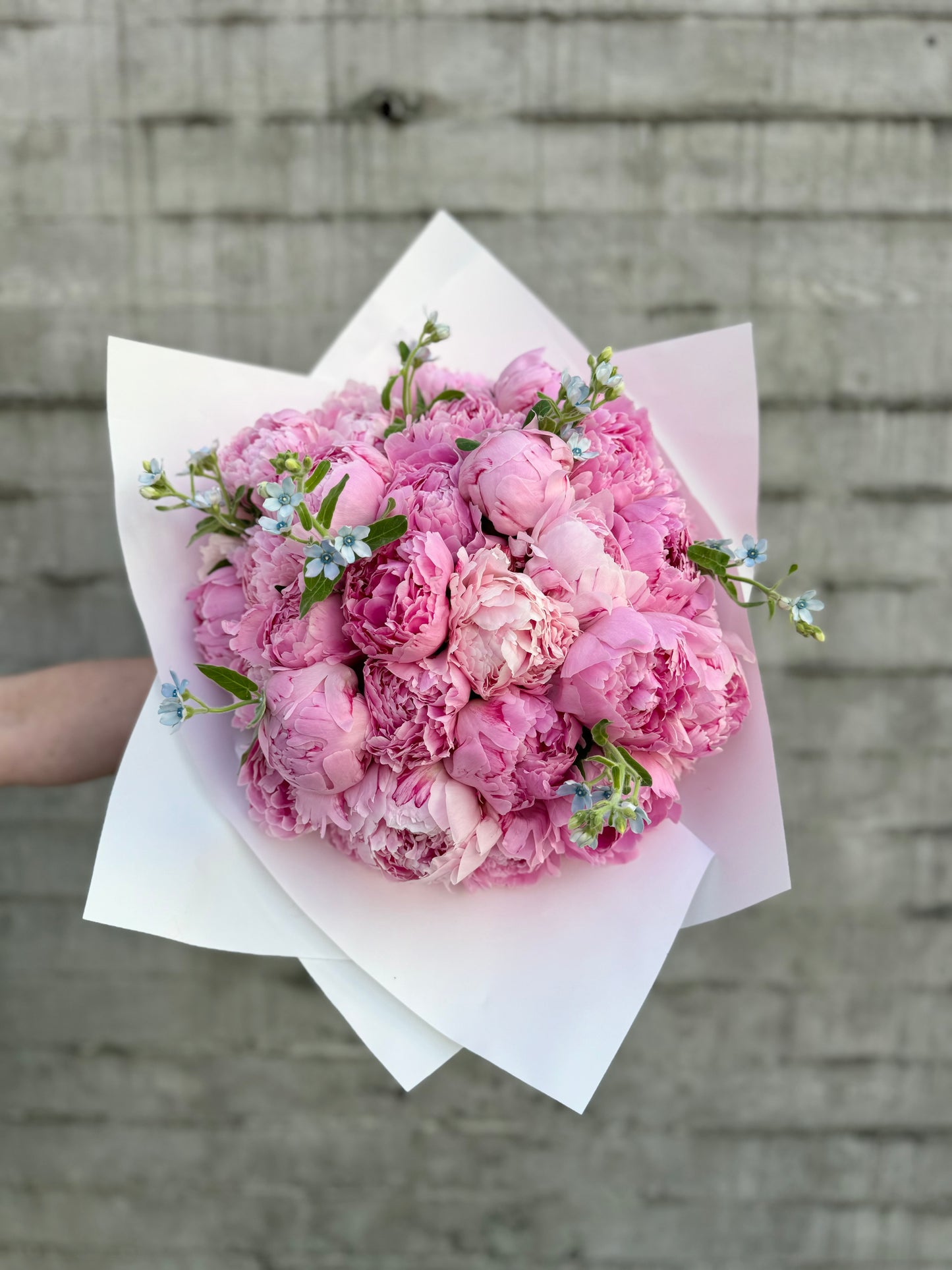 Peonies Bouquet - Seasonal