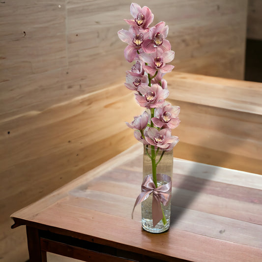 Pink Cymbidium Orchids